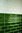 Wandfliese Cevica Metro Verde Vic glänzend  7,5x15 cm
