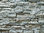 Wandverblender Geopietra Scaglia Bianco Carrara 10x20,30,50 cm