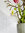 Wandfliese Meissen Minos weiß 30x60 cm