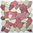 Mosaiktafel LivingStile Marmorbruch Rose-Beige 30,5x30,5 cm