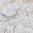 Bodenfliese Arcana Les Bijoux Doinyo 120x120 cm poliert rektifiziert