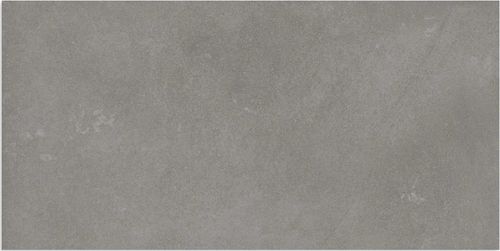 Bodenfliese Stargres Danzig Grey 30x60 cm